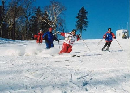 【傲雪冰城】哈尔滨、亚不力、雪乡双飞6日游（12人精品小包团）